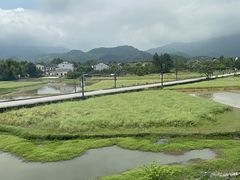 -黄牛肉馆·皖南土菜