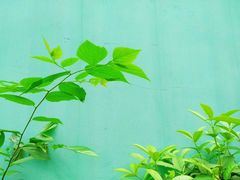 -成都中医药大学(温江校区)