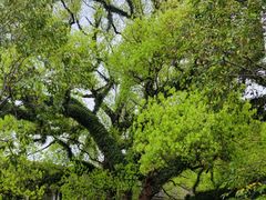 -溪口-滕头旅游景区