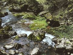 -溪口-滕头旅游景区