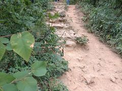 -树山生态村