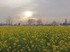 -中国天府农业博览园