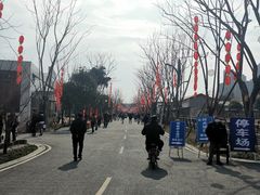 -三圣花乡旅游区