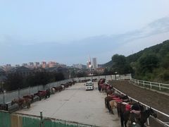 -鼎盛王朝康熙大典实景演出