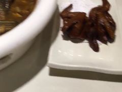 红烧乳鸽-九妙坊(牡丹园店)