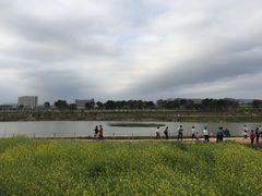 -光明小镇欢乐田园