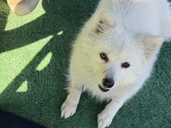 -丫丫蟹庄·苏式园林农家乐·阳澄湖大闸蟹(阳澄湖莲花岛店)