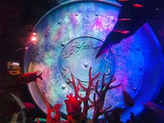 -沈阳海洋探索中心