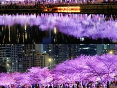 -西北湖绿化广场