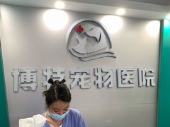 -博特宠物医院24h犬猫全科.骨科·异宠