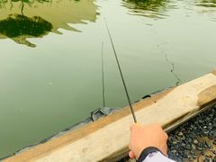 -DGE季风钓虾营地·团建·聚会