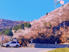 -妙峰山风景名胜区