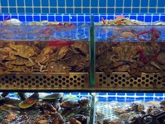 -芭菲盛宴·环球美食(北城国际店)