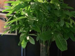 -徐记海鲜(梅溪新天地店)