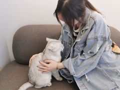 -Heymao猫咖.咖啡厅(东门店)