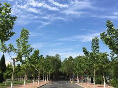 -哈尔滨工业大学(威海校区)