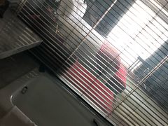 -北京北辰洲际酒店