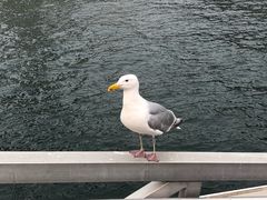 -固兰湖岛