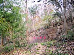 -镇江市南山风景名胜区竹林景区