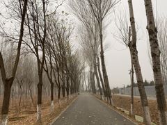 -东郊湿地公园