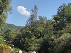 -巴厘岛风情自助餐厅(牡丹广场店)