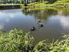 -阳光高尔夫俱乐部