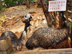-昆明动物园