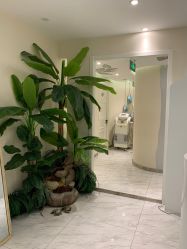 -健身堂科技美肌SPA