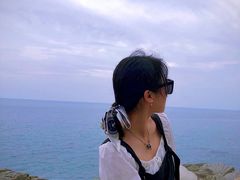 -广东惠东海龟国家级自然保护区