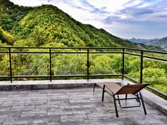 -巴依老爷新疆美食(望京小街店)