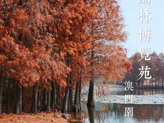 -厦门园林博览苑