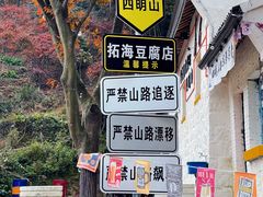 -四明山国家森林公园