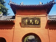 -洛阳白马寺