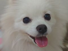 -联合动物医院(光谷诊疗中心)