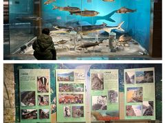 -重庆中国三峡博物馆(重庆博物馆)