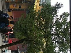 -普陀山慧济禅寺