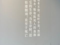-北京鲁迅博物馆(北京新文化运动纪念馆鲁博馆区)