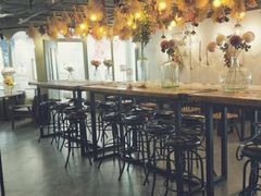 大堂-共舞时光猫咖·狗咖(新街口店)
