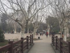 -泰州凤城河风景区-泰山公园