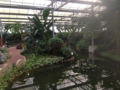 -嬉乐湾休闲旅游区