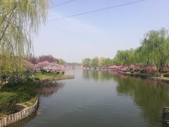 -石家庄市植物园