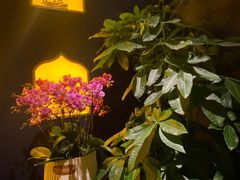 -泰王玺·正宗泰式按摩SPA(九霄店)