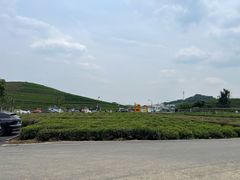 -龙坞茶村