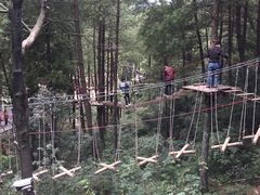-梦幻奥陶纪景区