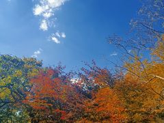 -青岛崂山太清宫