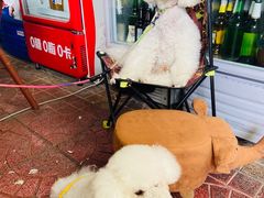 -大海别墅民宿农家院(十渡店)