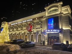 -斯卡拉演艺集团