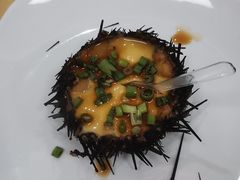 海胆蒸蛋-海岛渔村大酒店(云霄路店)