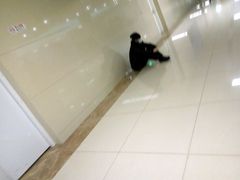 -中国人民解放军总医院(301医院)