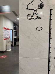 -上海玫瑰医疗美容医院